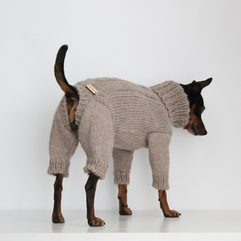 Miniature pinscher wearing a beige hand-knitted alpaca wool turtleneck sweater, custom-made to measure by Lana Royals Pet Wear. Showcasing from the back while standing.
