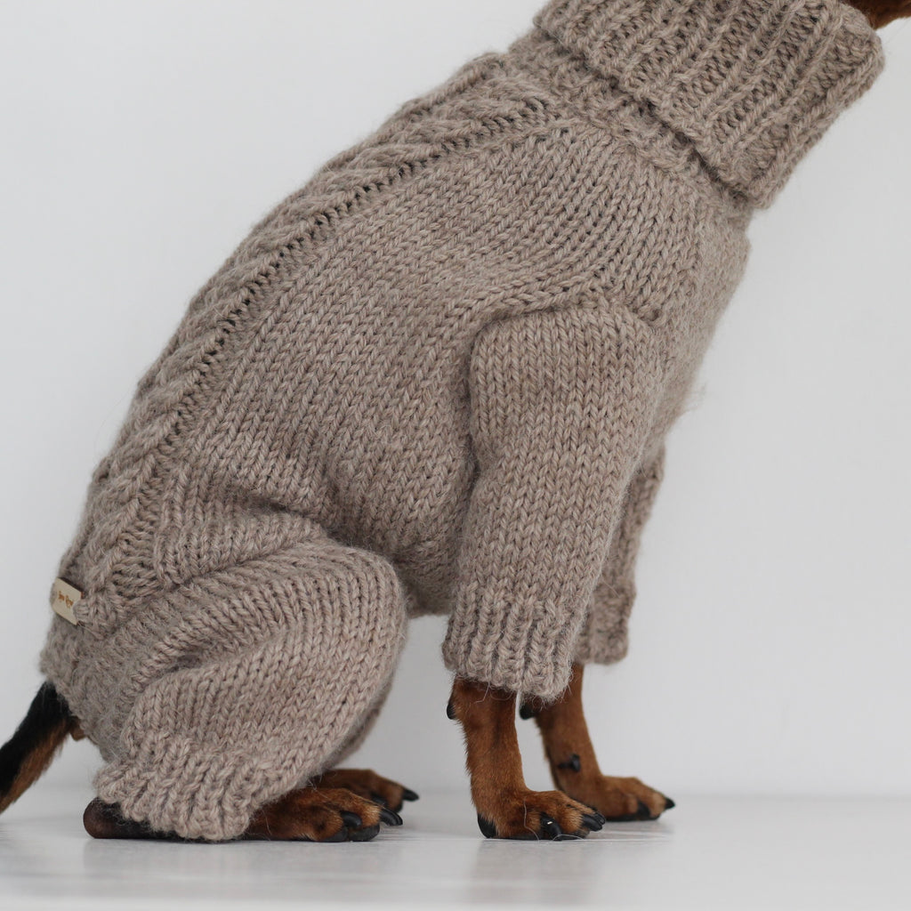 Miniature pinscher wearing a beige hand-knitted alpaca wool turtleneck jumpsuit onesie, custom-made to measure by Lana Royals Pet Wear. Close-up from the side.