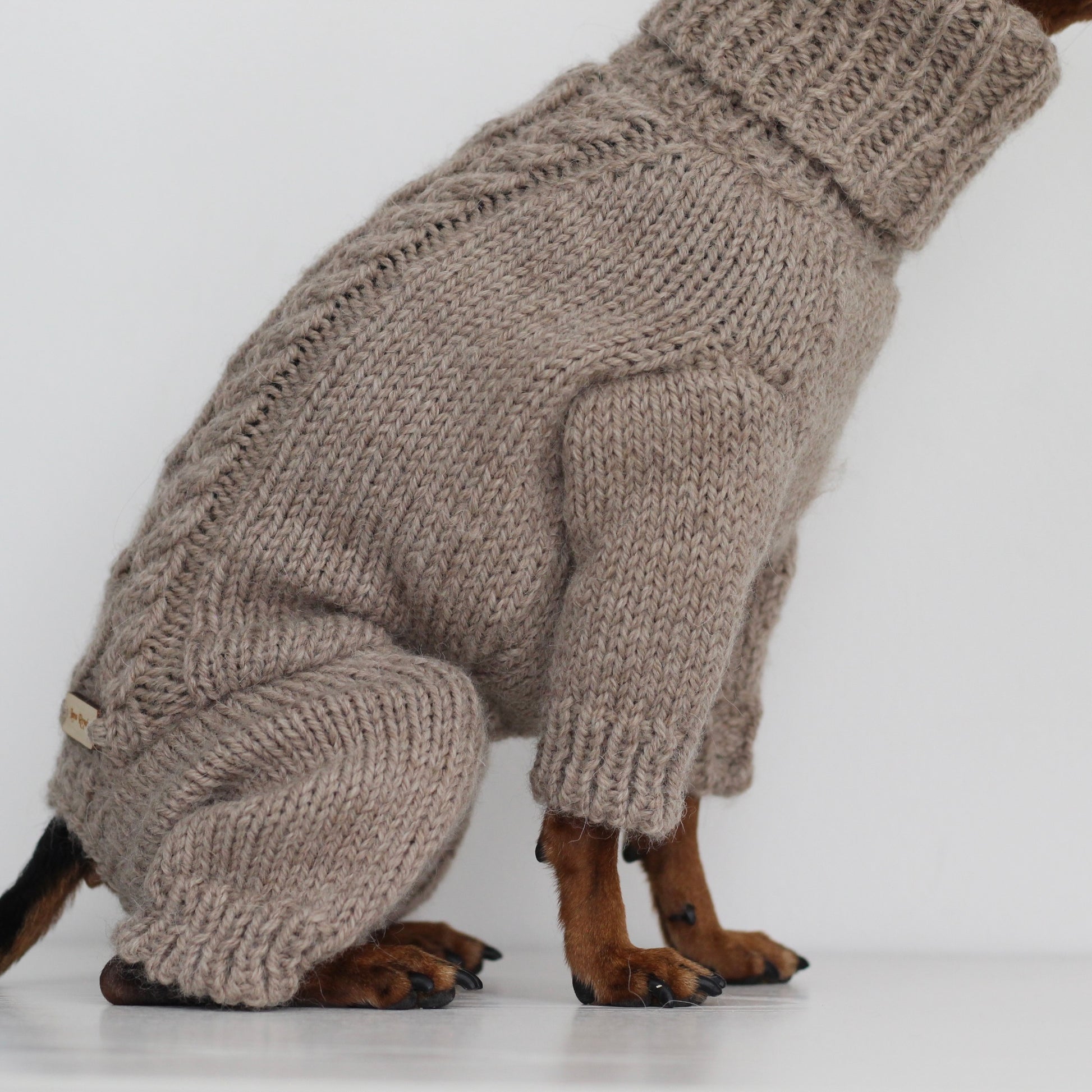Miniature pinscher wearing a beige hand-knitted alpaca wool turtleneck jumpsuit onesie, custom-made to measure by Lana Royals Pet Wear. Close-up from the side.
