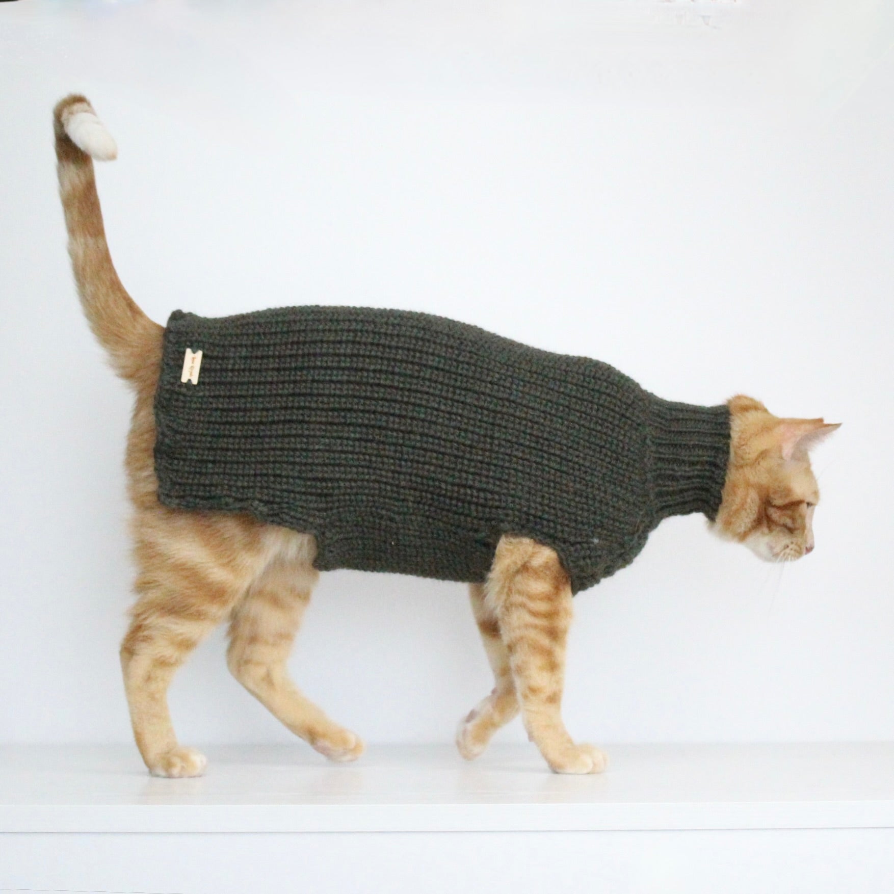 Ginger cat wearing a hand-knitted alpaca wool sweater in dark green color, custom-made to measure by Lana Royals Pet Wear. 