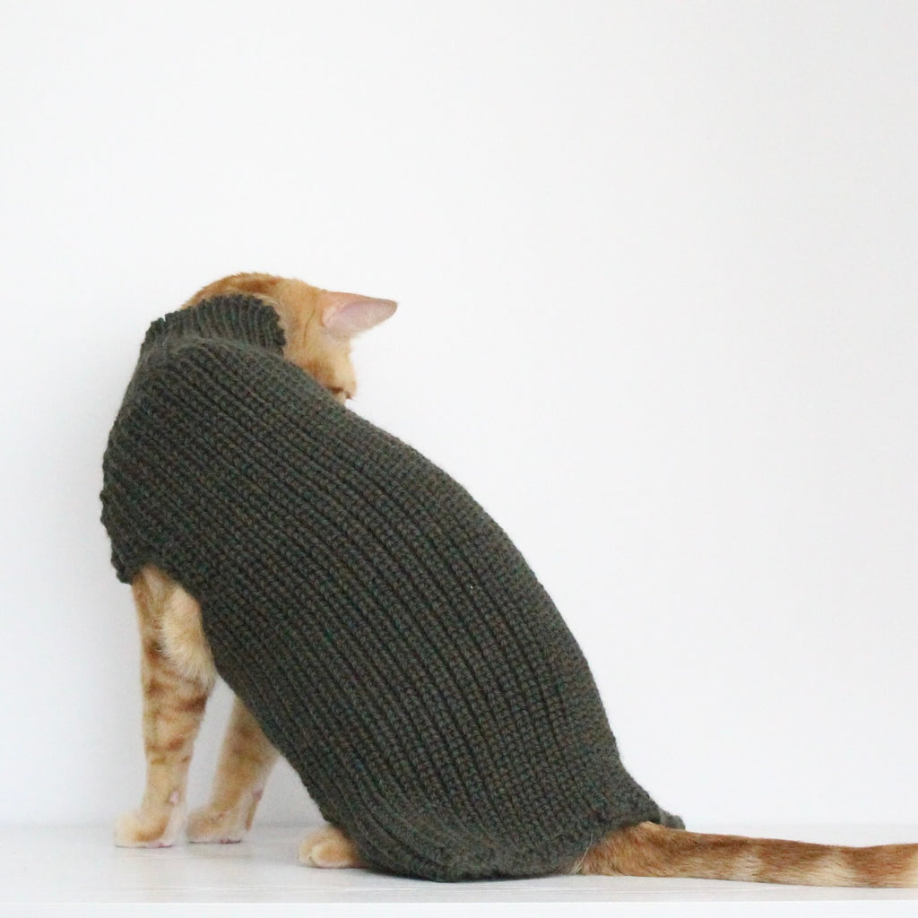 Ginger cat wearing a hand-knitted alpaca wool sweater in dark green color, custom-made to measure by Lana Royals Pet Wear. 