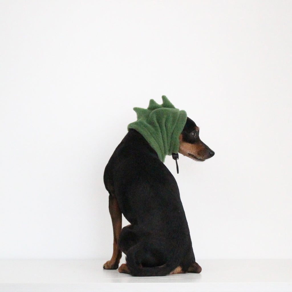 Miniature pinscher wearing handmade pine green fleece snood with Dino spikes costume add-on, custom-tailored to measure by Lana Royals Pet Wear.