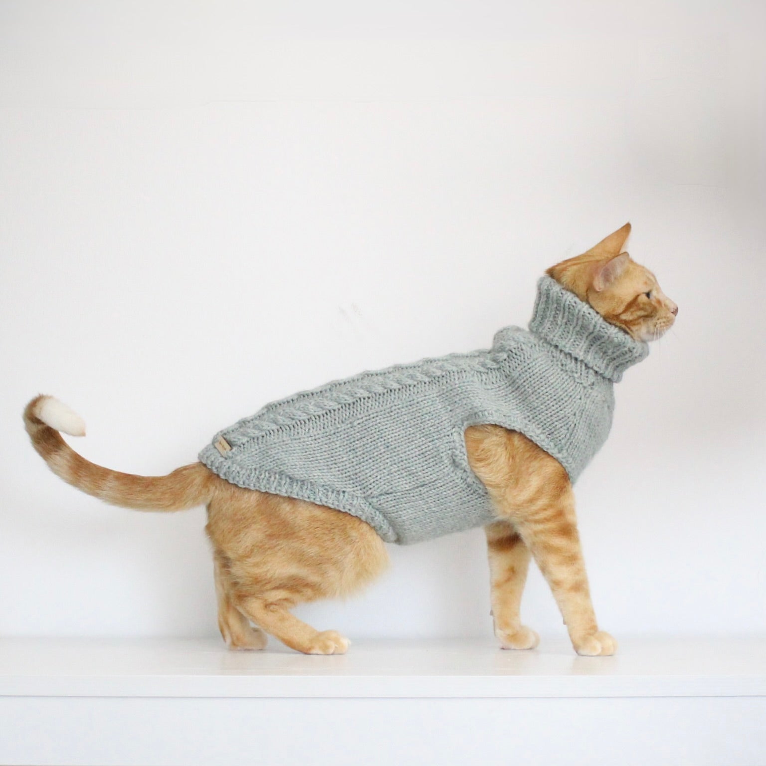 Ginger cat wearing a hand-knitted alpaca wool turtleneck sweater in soft mint color, custom-made to measure by Lana Royals Pet Wear.