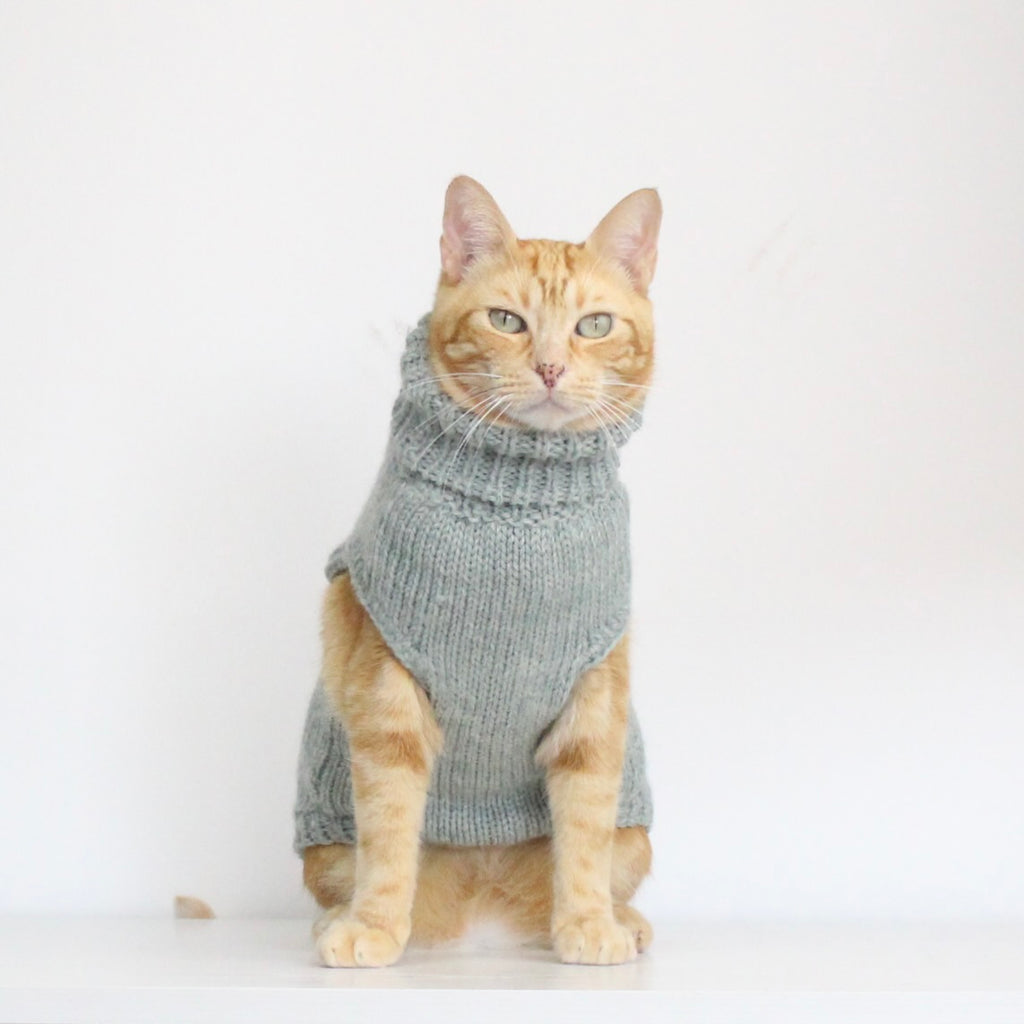 Ginger cat wearing a hand-knitted alpaca wool turtleneck sweater in soft mint color, custom-made to measure by Lana Royals Pet Wear.