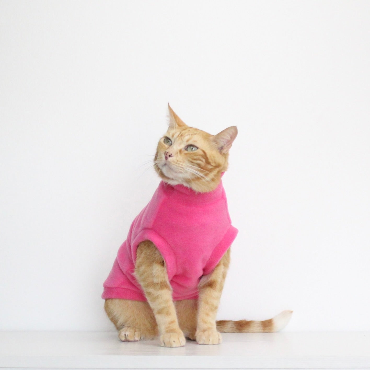 Ginger cat wearing a handmade fleece sleeveless tank-top vest in hot pink color, custom-tailored to measure by Lana Royals Pet Wear.