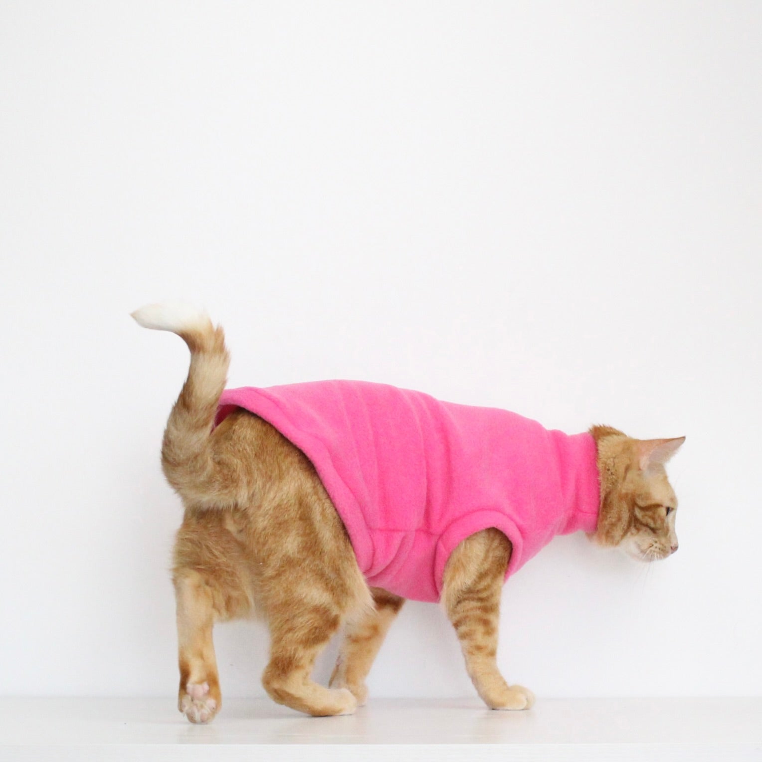 Ginger cat wearing a handmade fleece sleeveless tank-top vest in hot pink color, custom-tailored to measure by Lana Royals Pet Wear.