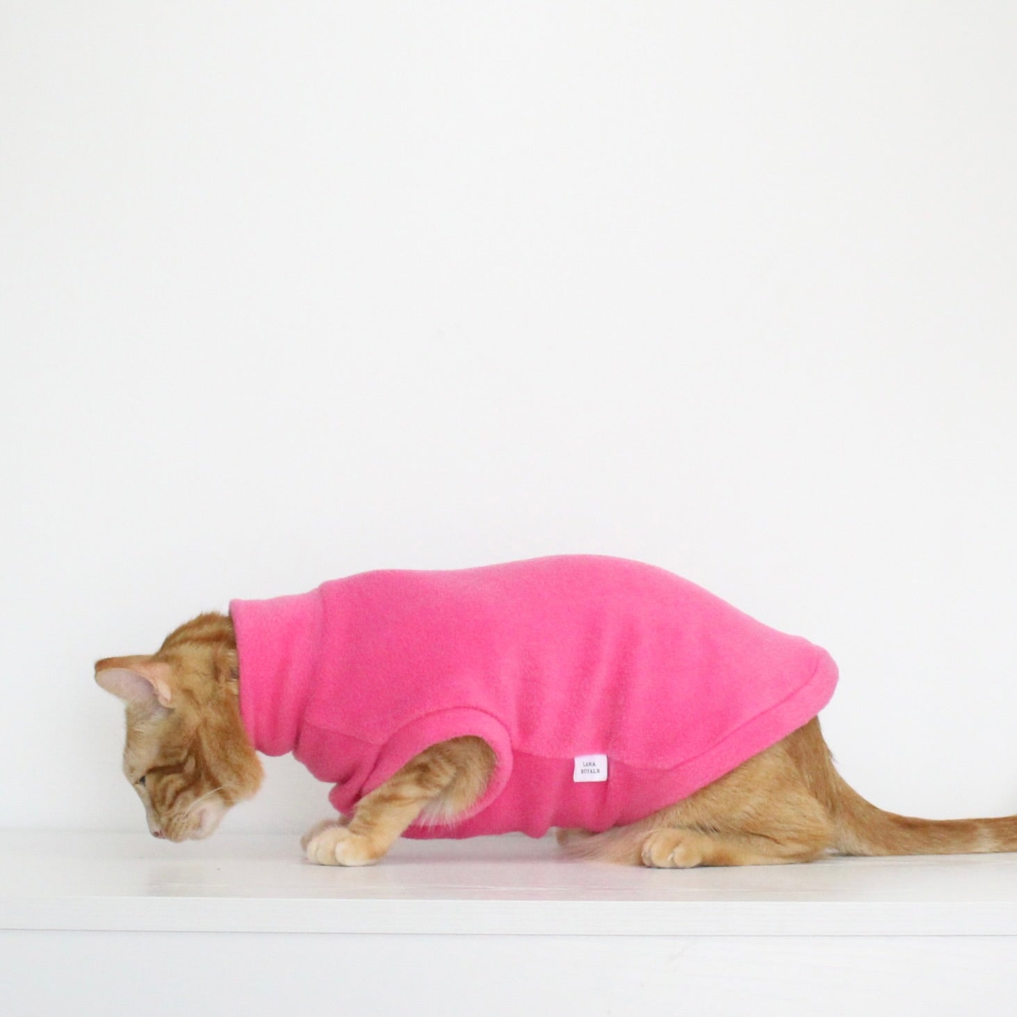 Ginger cat wearing a handmade fleece sleeveless tank-top vest in hot pink color, custom-tailored to measure by Lana Royals Pet Wear.