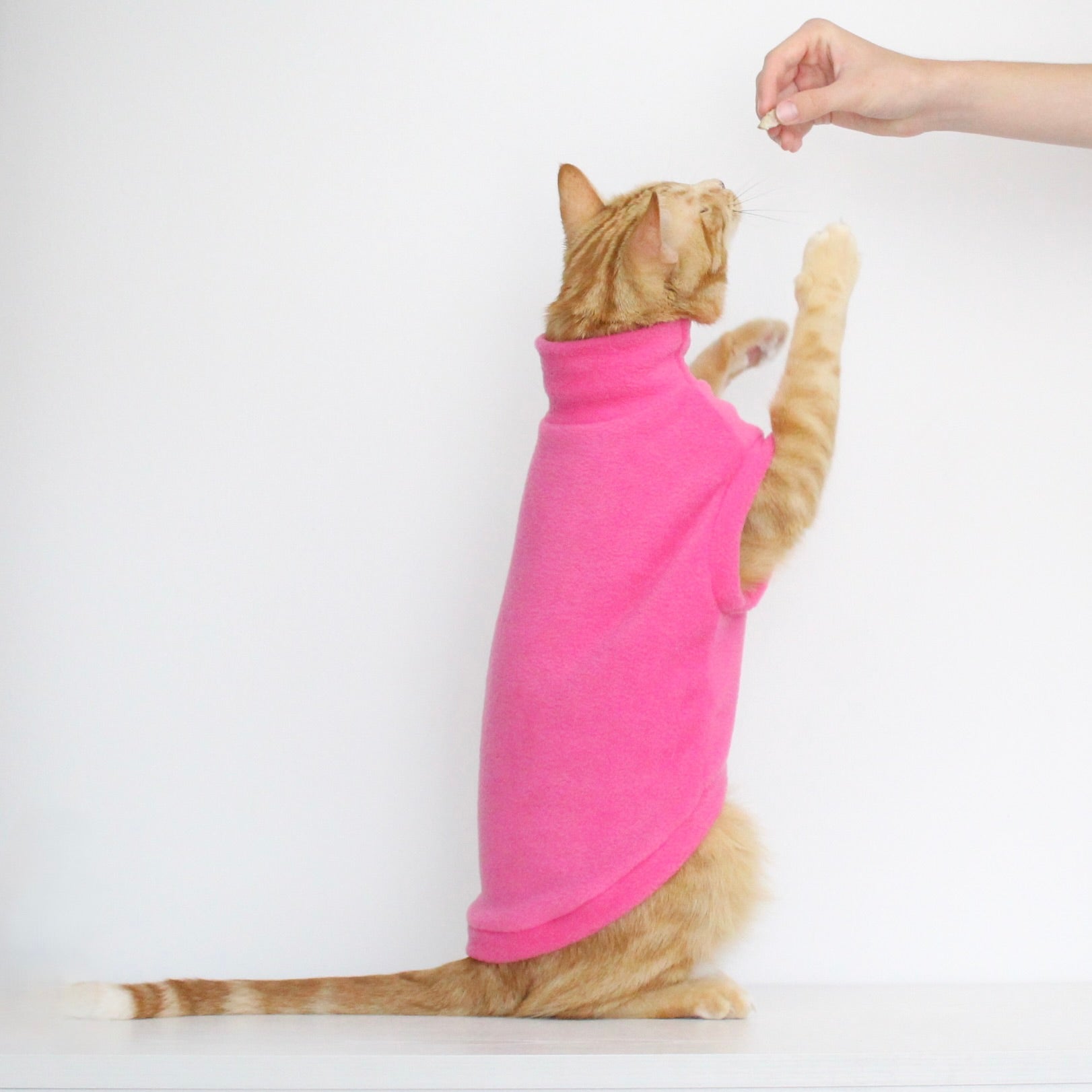 Ginger cat wearing a handmade fleece sleeveless tank-top vest in hot pink color, custom-tailored to measure by Lana Royals Pet Wear.