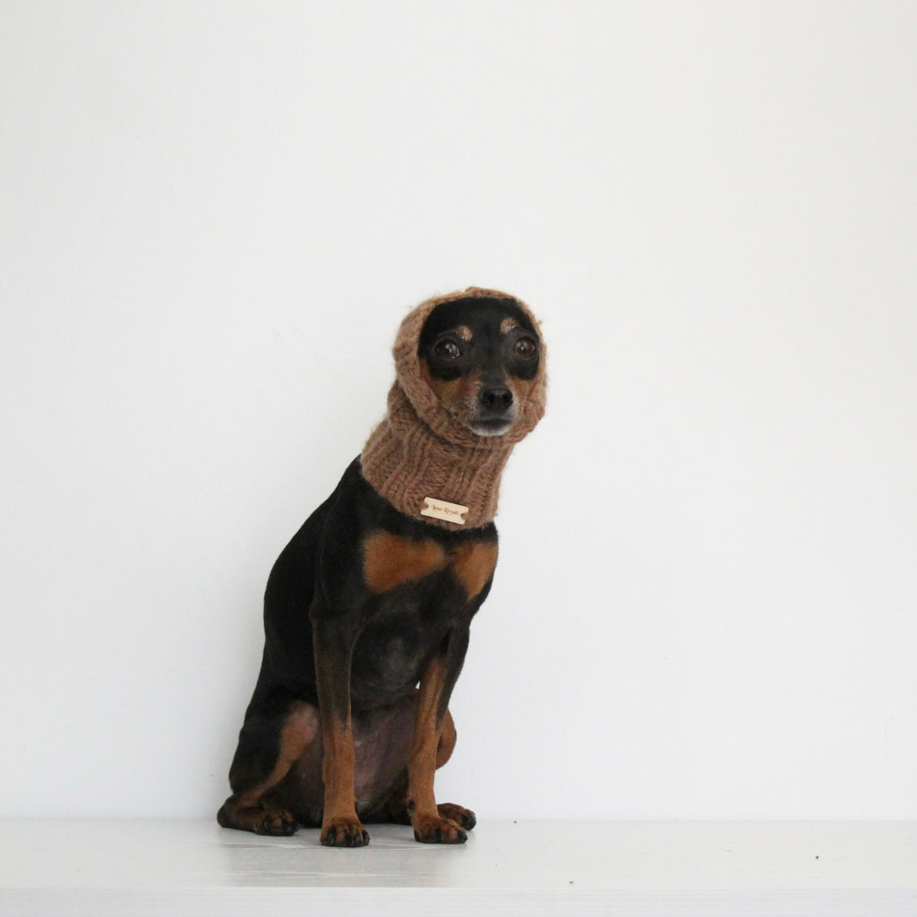Miniature pinscher dog wearing a hand-knitted alpaca wool almond brown snood, custom-tailored to measure by Lana Royals Pet Wear.