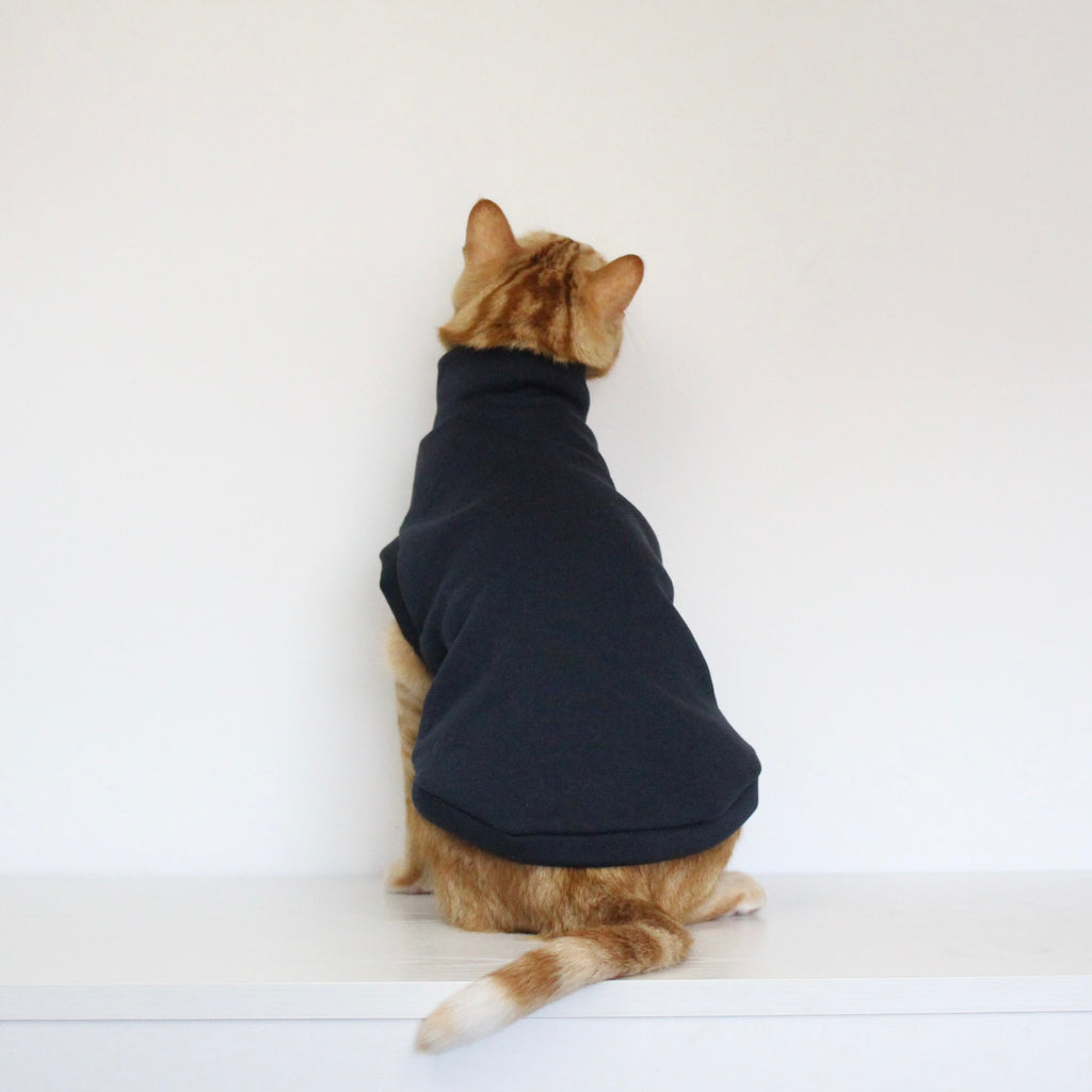 Ginger cat wearing a handmade dark navy blue cotton sweatshirt, custom-tailored to measure by Lana Royals Pet Wear.