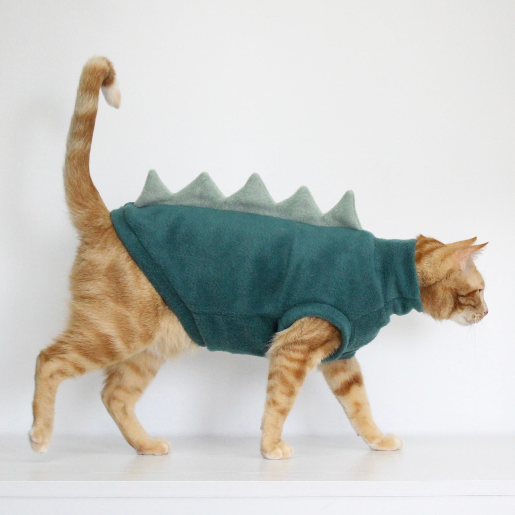 Ginger cat wearing a teal fleece jumper with aqua fleece dinosaur costume add-on, custom-tailored to measure by Lana Royals Pet Wear.