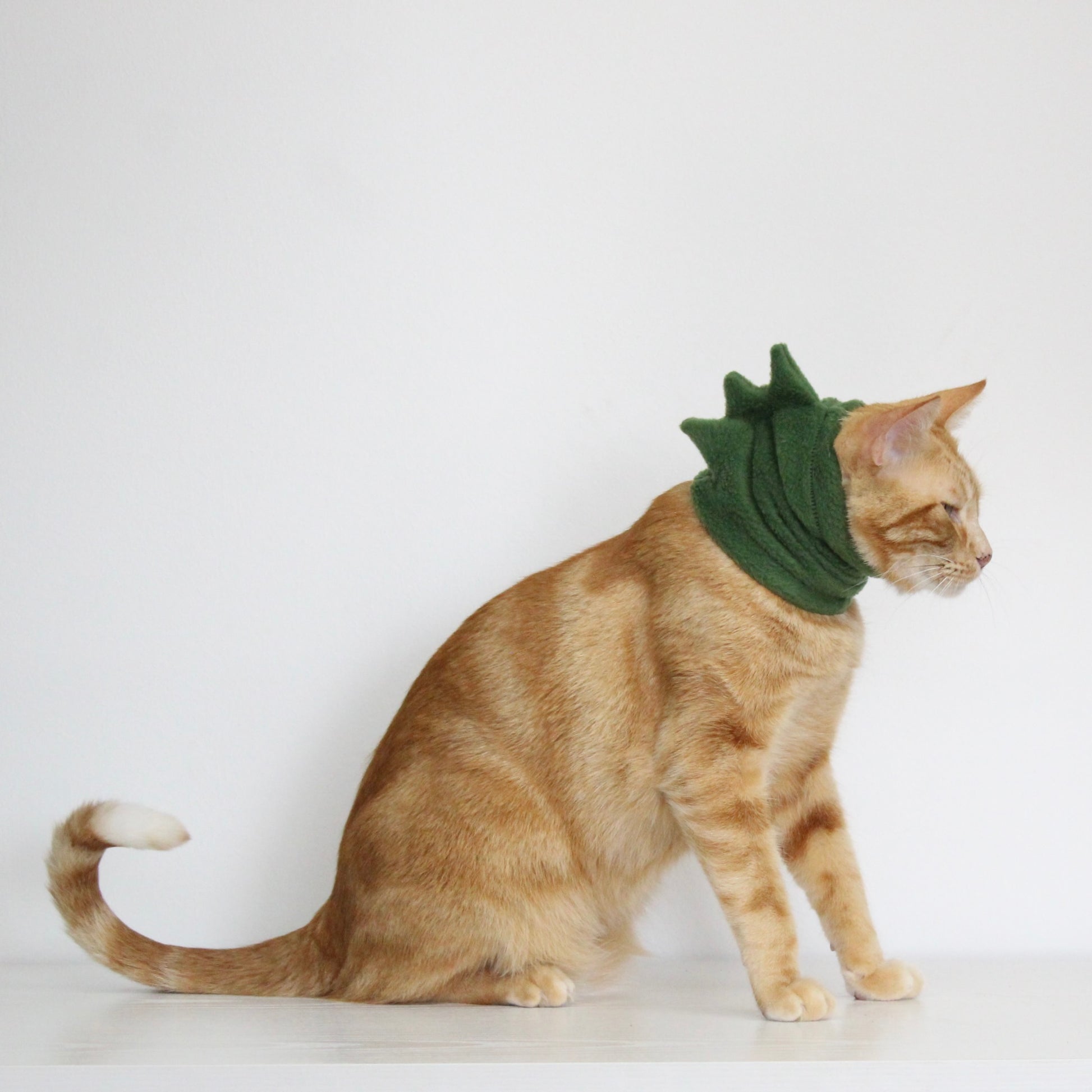 Ginger cat wearing handmade pine green fleece snood with Dino spikes costume add-on, custom-tailored to measure by Lana Royals Pet Wear.