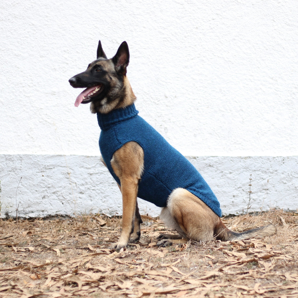 Belgian Shepherd Malinois wearing handmade knitted alpaca wool 'LITE' sweater in petrol color, custom-tailored to measure by Lana Royals Pet Wear.