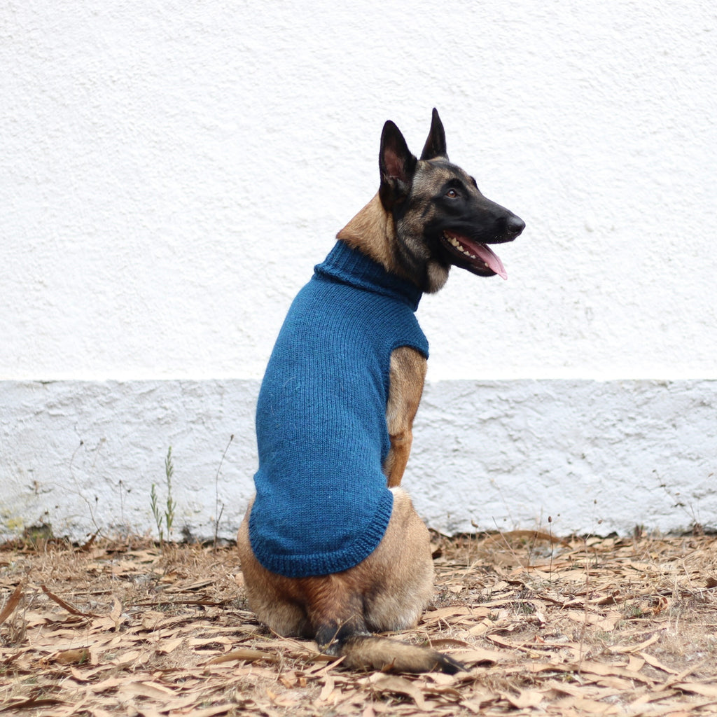Belgian Shepherd Malinois wearing handmade knitted alpaca wool 'LITE' sweater in petrol color, custom-tailored to measure by Lana Royals Pet Wear.