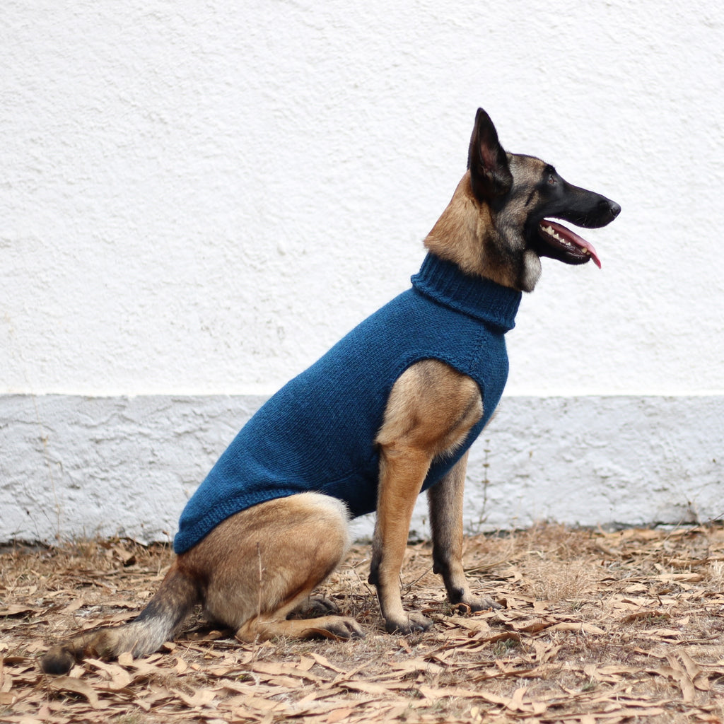 Belgian Shepherd Malinois wearing handmade knitted alpaca wool 'LITE' sweater in petrol color, custom-tailored to measure by Lana Royals Pet Wear.