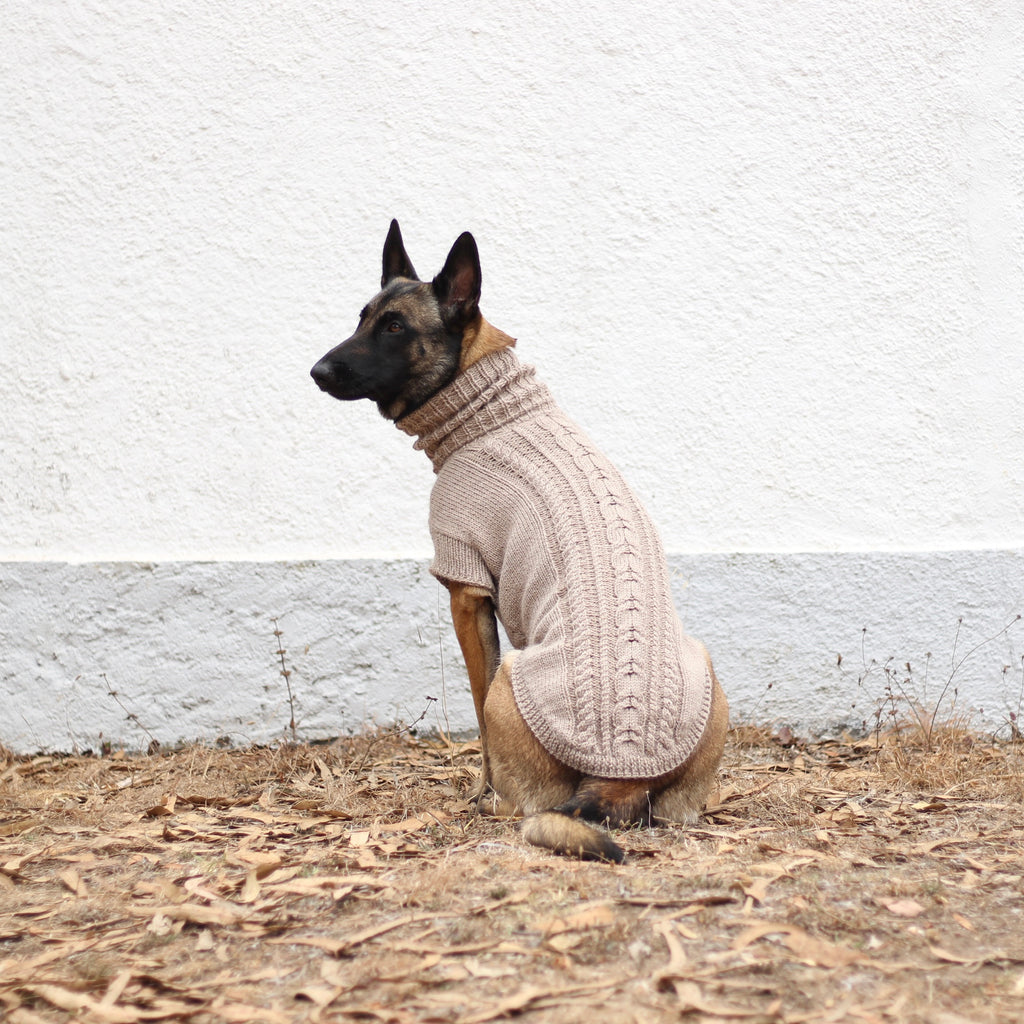 Belgian Shepherd Malinois wearing handmade knitted alpaca wool 'PRIMUS' sweater for large dogs in beige color, custom-tailored to measure by Lana Royals Pet Wear.