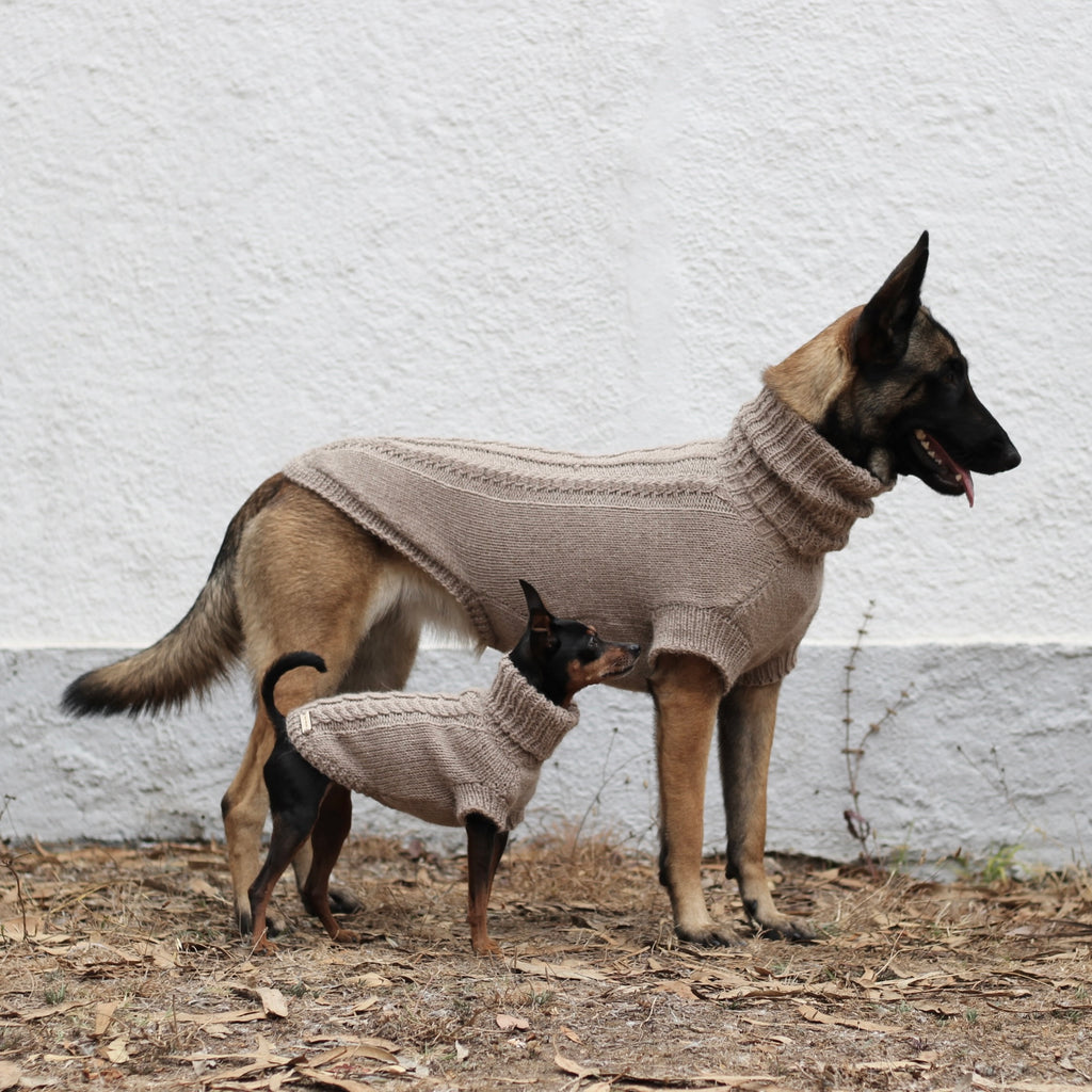 Belgian Shepherd Malinois and Miniature Pinscher wearing handmade knitted alpaca wool 'PRIMUS' sweaters for small and large dogs in beige color, custom-tailored to measure by Lana Royals Pet Wear.