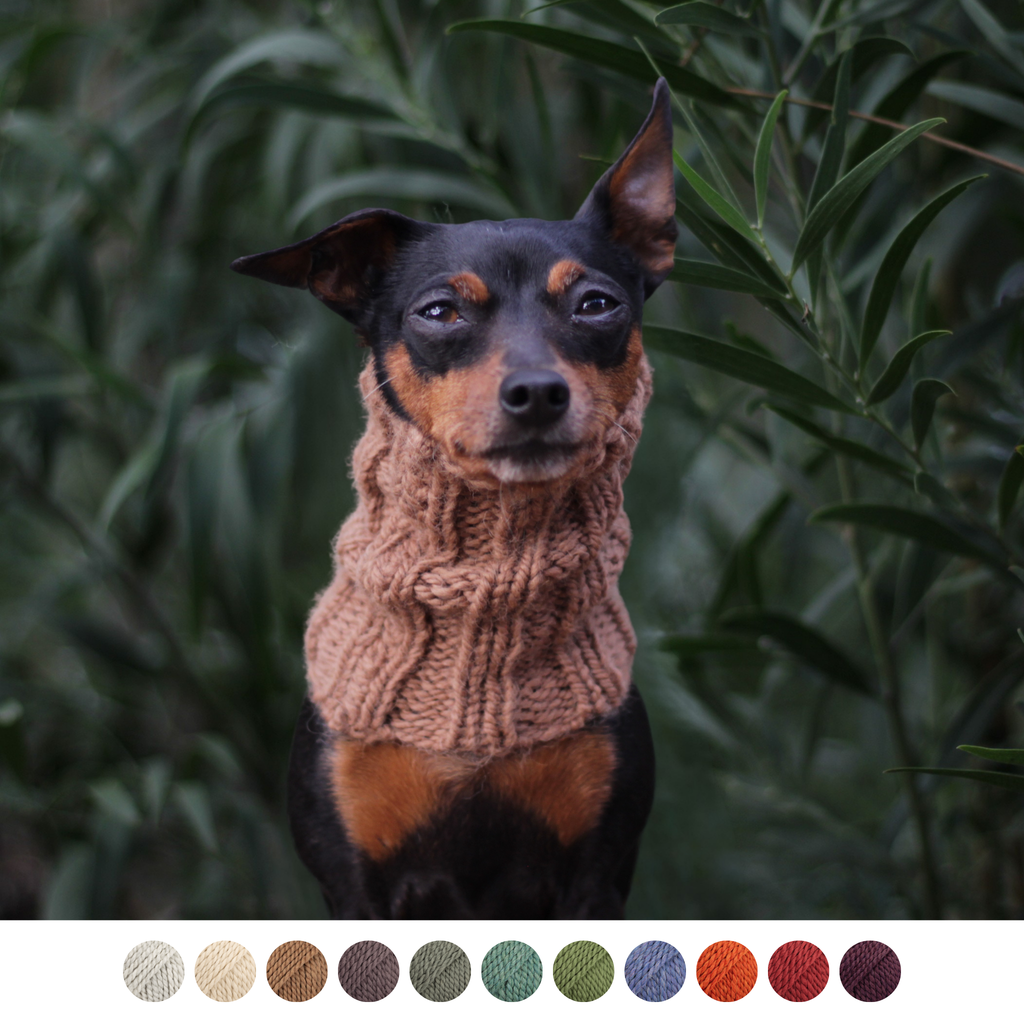 Miniature pinscher Prague Ratter dog wearing handmade knitted thick alpaca wool snood. Custom-tailored to measure neck, head and ear warmer for hounds by Lana Royals Pet Wear.