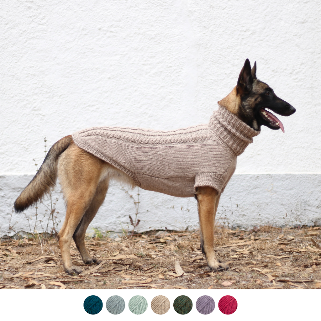 Belgian shepherd malinois wearing hand-knitted alpaca wool turtleneck sweater in beige color, custom-tailored to measure by Lana Royals Pet Wear.