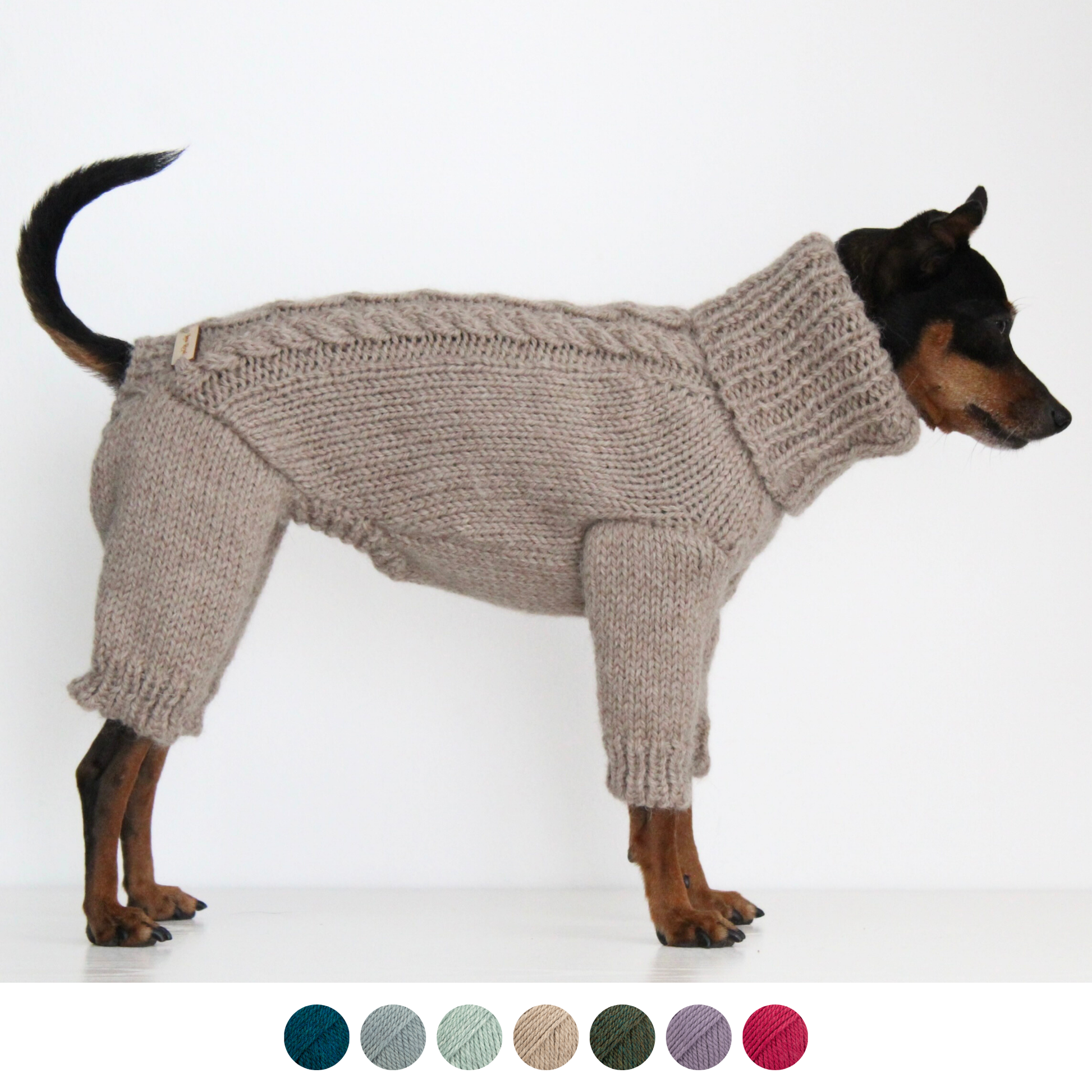 Miniature pinscher dog wearing hand-knitted alpaca wool turtleneck jumpsuit onesie in beige color, custom-tailored to measure by Lana Royals Pet Wear.