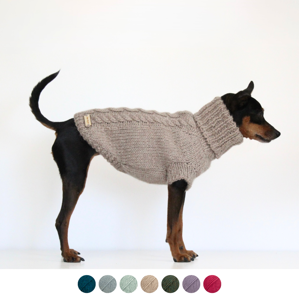 Miniature pinscher dog wearing hand-knitted alpaca wool turtleneck sweater in beige color, custom-tailored to measure by Lana Royals Pet Wear.