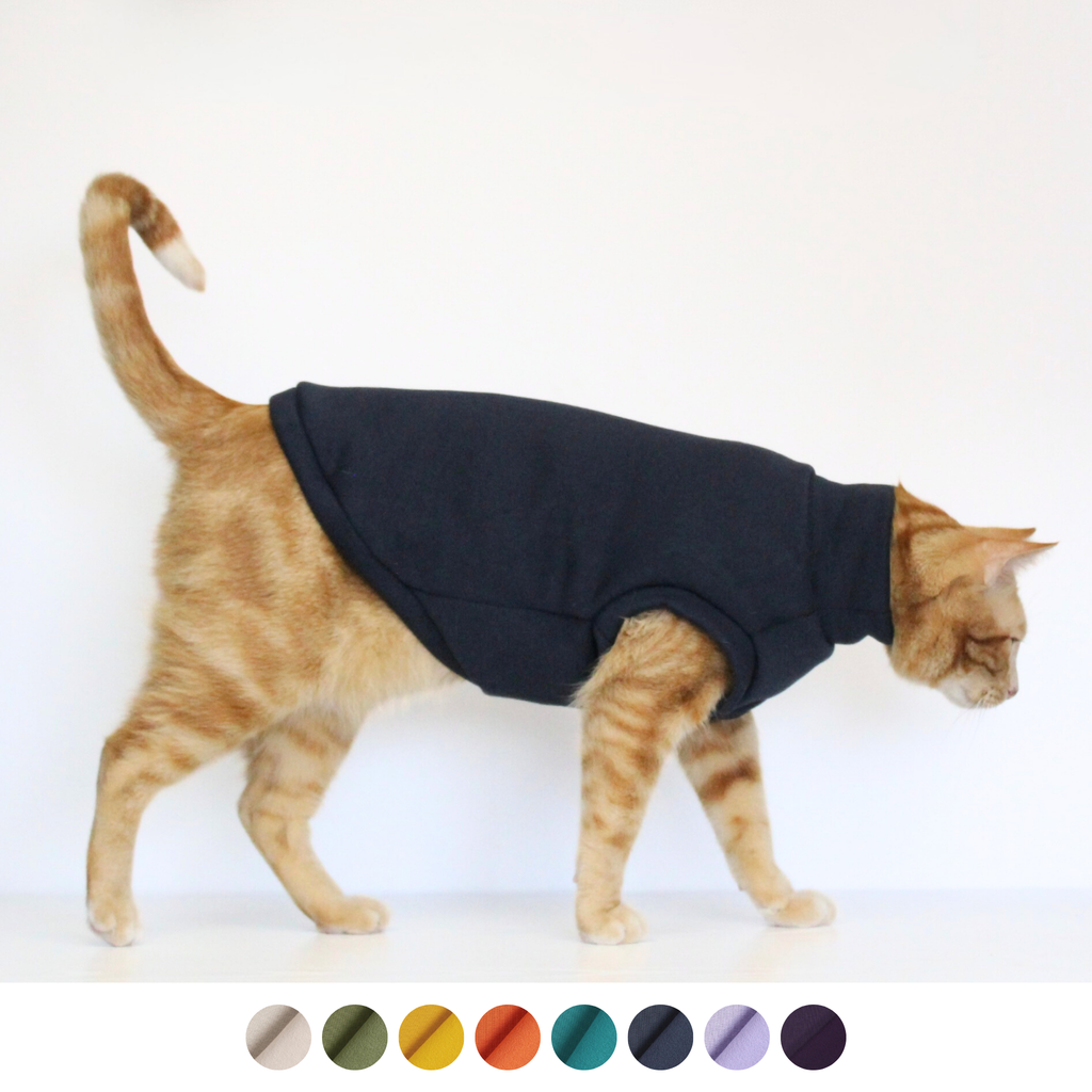 Ginger cat wearing a handmade dark navy blue midnight sweatshirt, custom-tailored to measure by Lana Royals Pet Wear.