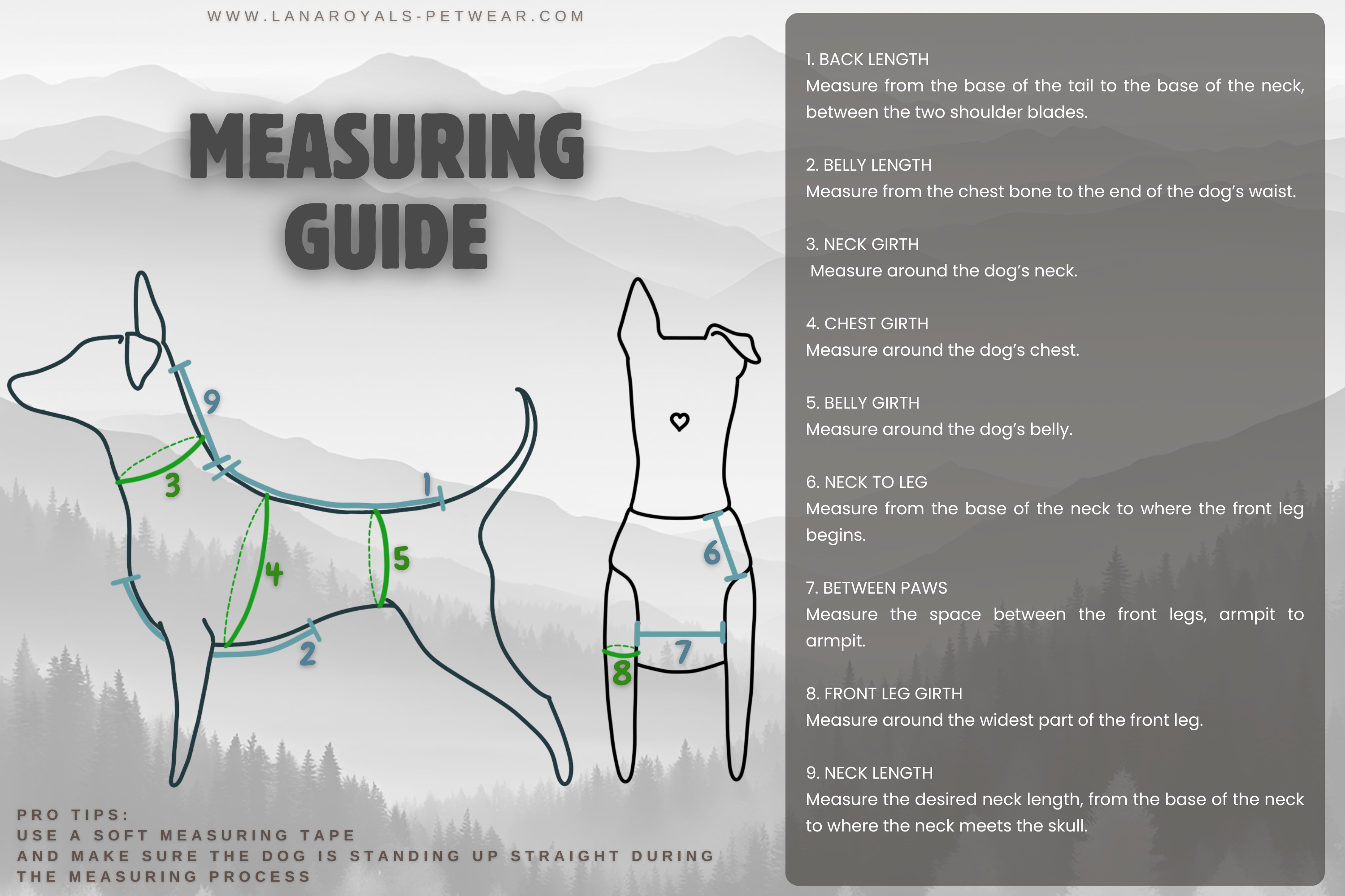 Dog measuring guide with illustrations and text, from Lana Royals Pet Wear.