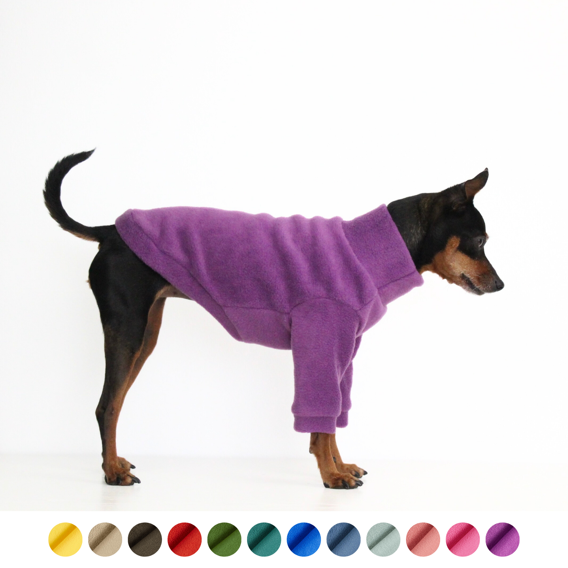 Miniature pinscher wearing a handmade purple fleece jumper with sleeves, custom-tailored to measure from Lana Royals Pet Wear.