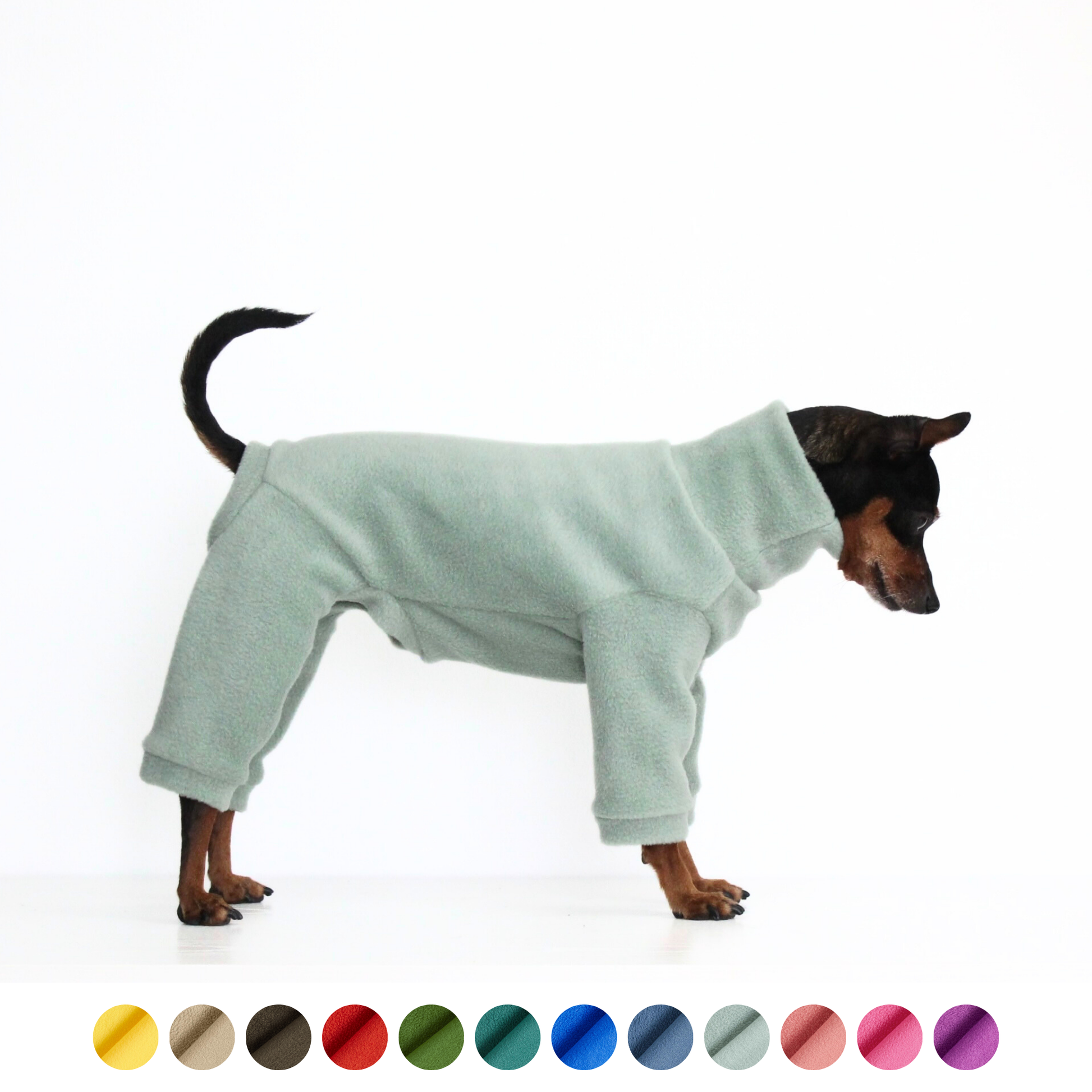 Miniature pinscher wearing a handmade light green aqua fleece jumpsuit onesie, custom-tailored pajamas overall from Lana Royals Pet Wear.