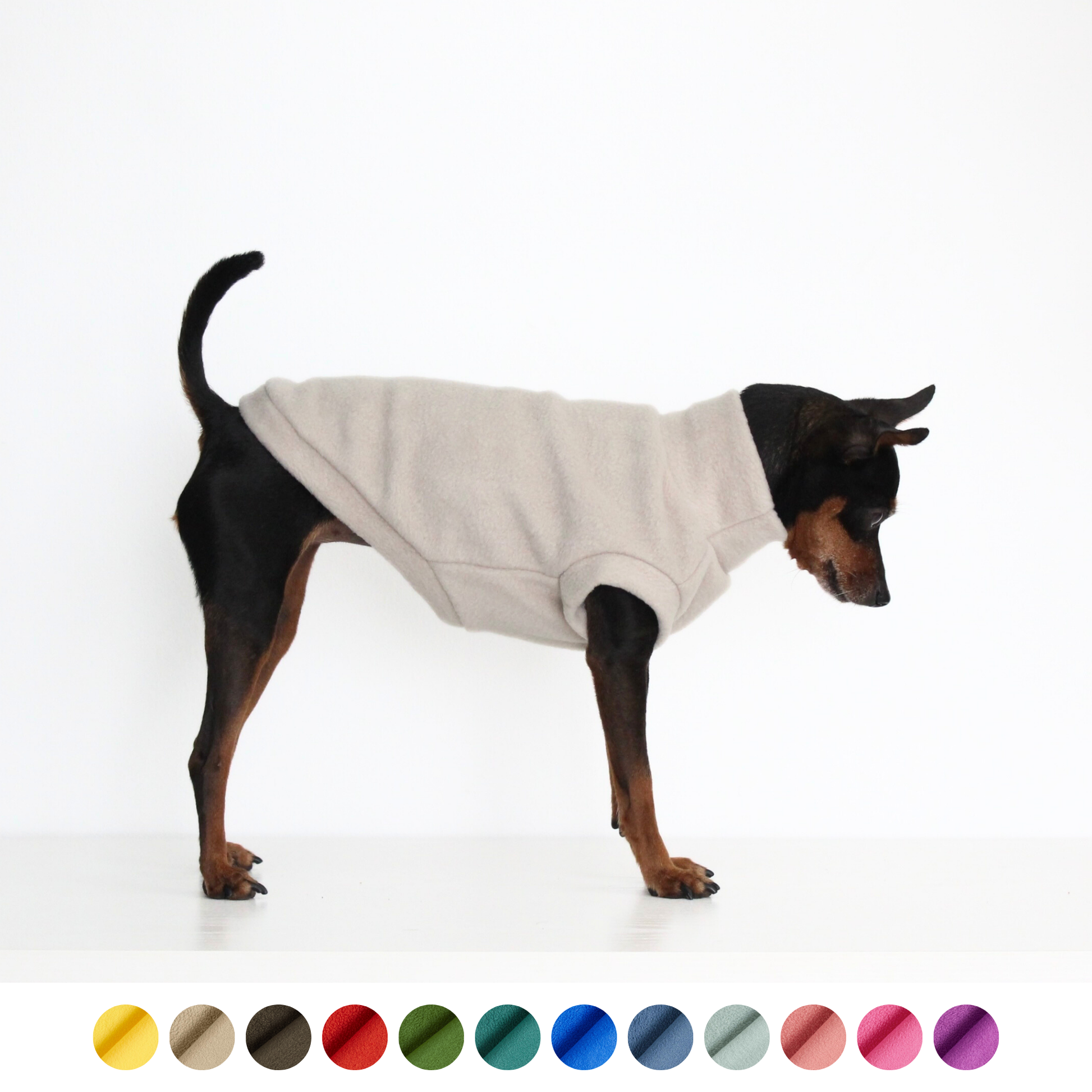 Miniature pinscher wearing a handmade beige fleece sleeveless jumper vest, custom-tailored to measure from Lana Royals Pet Wear.