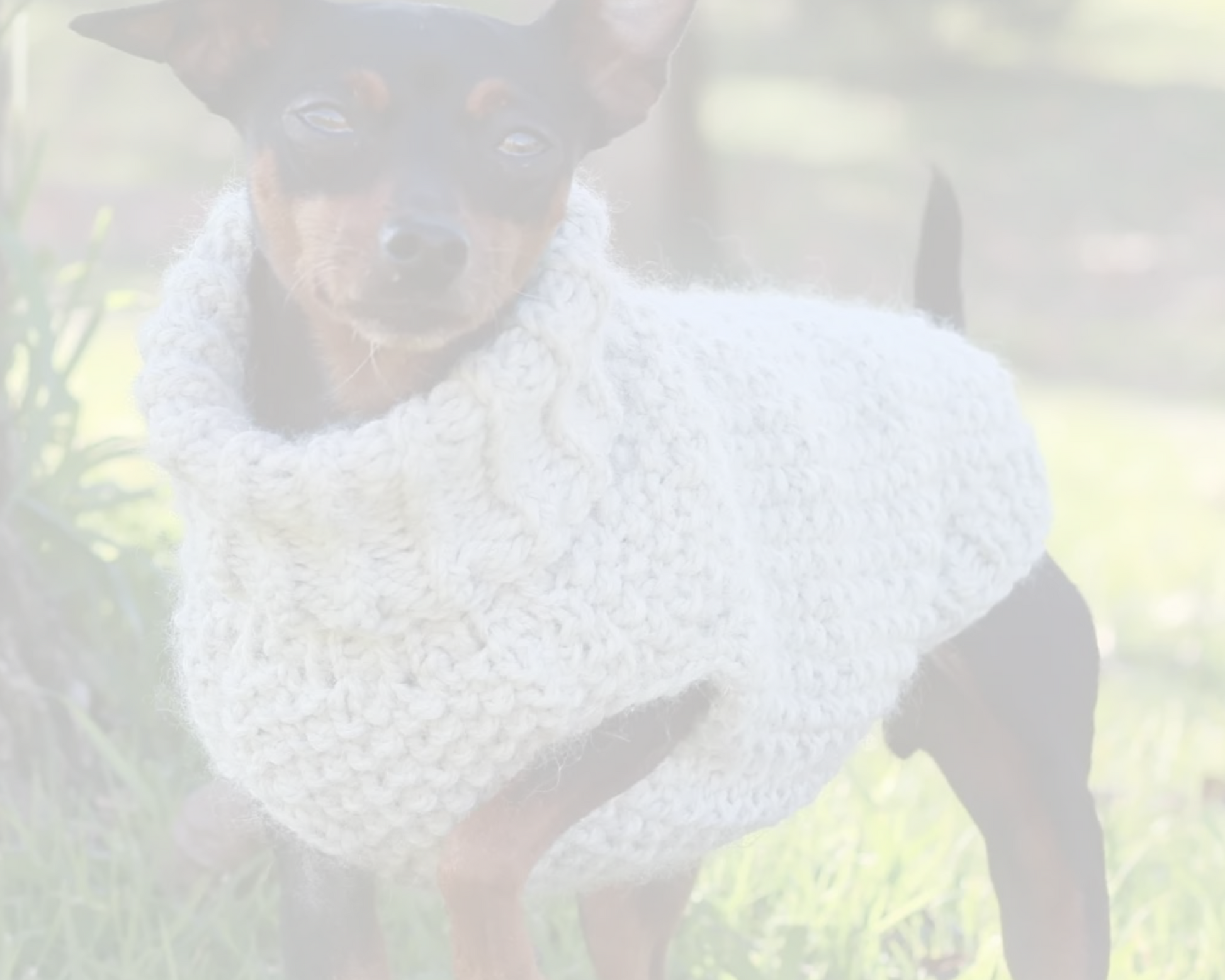 Dog wearing a custom hand-knitted grey wool sweater. Custom handmade sweaters for dogs from Lana Royals Pet Wear.
