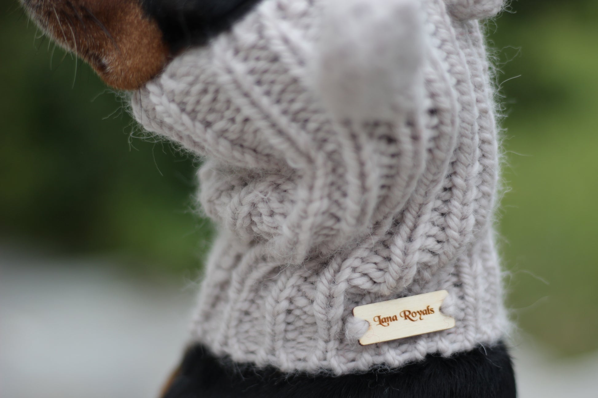 Miniature Pinscher, Prague Ratter dog wearing custom-tailored, hand-knitted snood with bunny ears named "NORDIC CUDDLEBUNNY" in lunar caliza color, close up view of the Lana Royals label