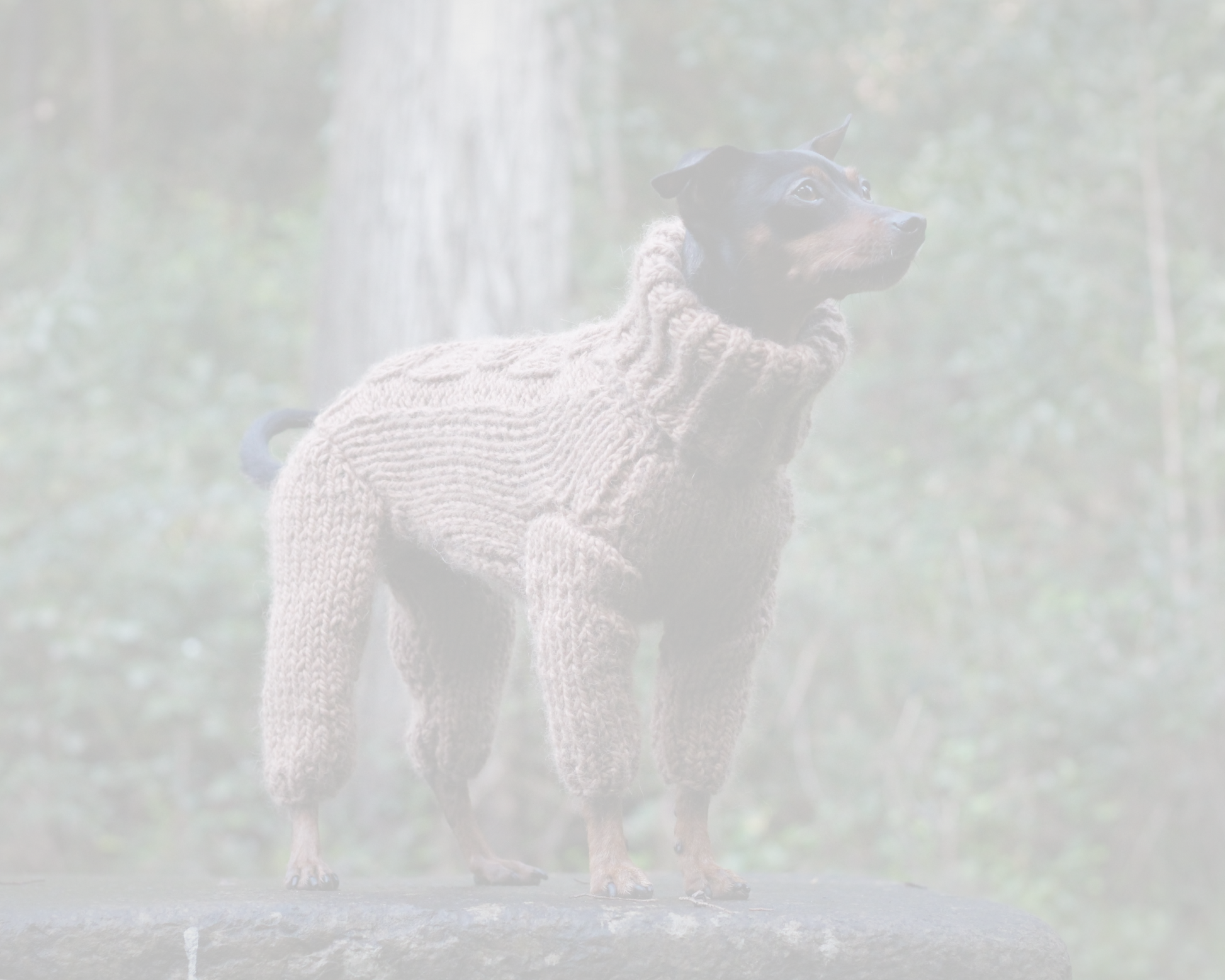 Dog wearing a hand-knitted brown onesie jumpsuit for dogs, custom made to measure by Lana Royals Pet Wear.