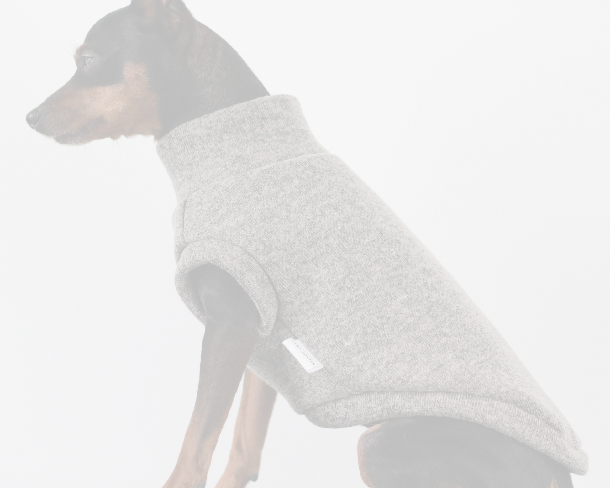 Dog wearing a custom made to measure vest, brown beige woolly by Lana Royals Pet Wear.